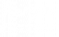 Survey Logo