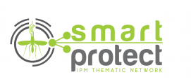 Survey Logo