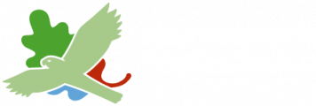 Survey Logo