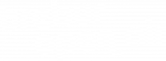 Survey Logo