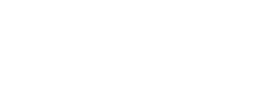Survey Logo