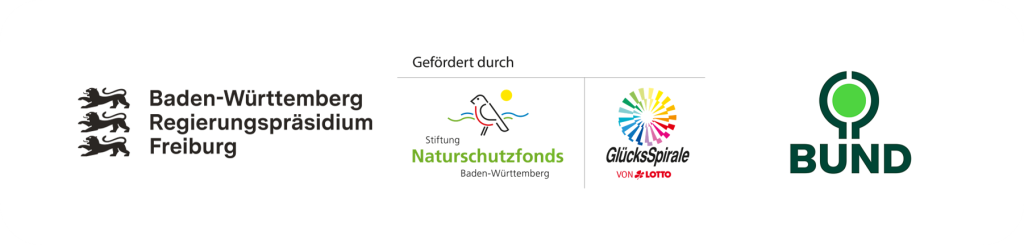 Survey Logo