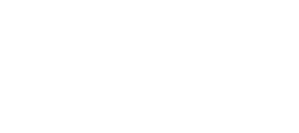 Survey Logo
