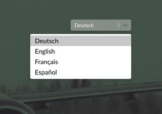 Mehrsprachige Umfragen erstellen