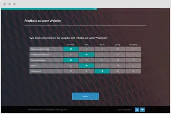 Umfrage-Vorlage: Website Feedback