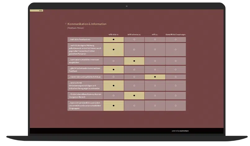 360 Grad Feedback Umfrage-Vorlage