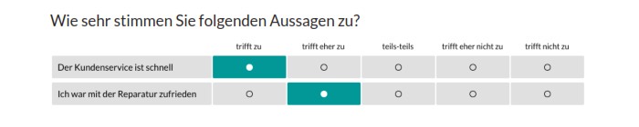antwortoption-als-matrix