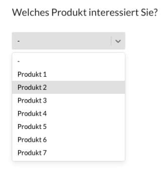 bsp-pulldown-menue-fragebogen