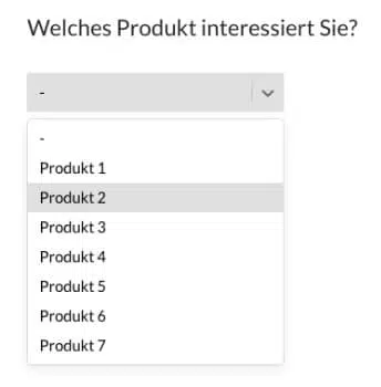 bsp-pulldown-menue-fragebogen