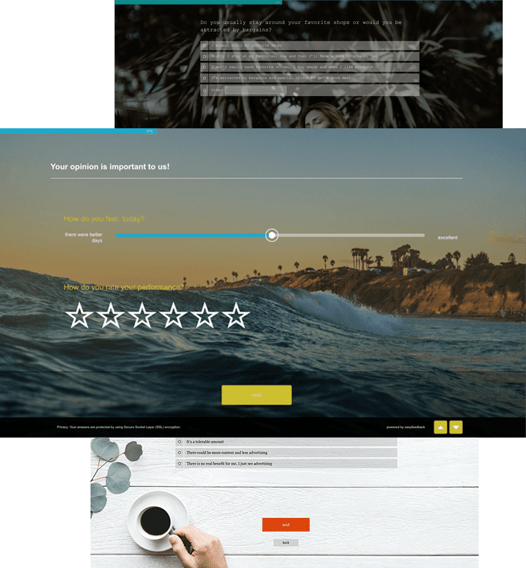 survey-design-branding
