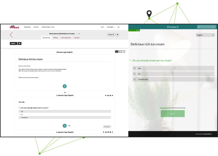 example online survey