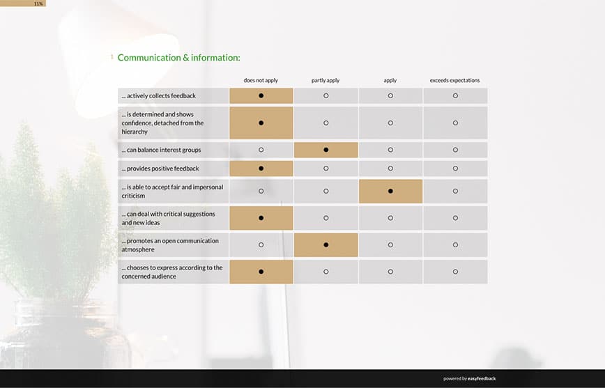 Preview image of a 360 degree feedback with easyfeedback