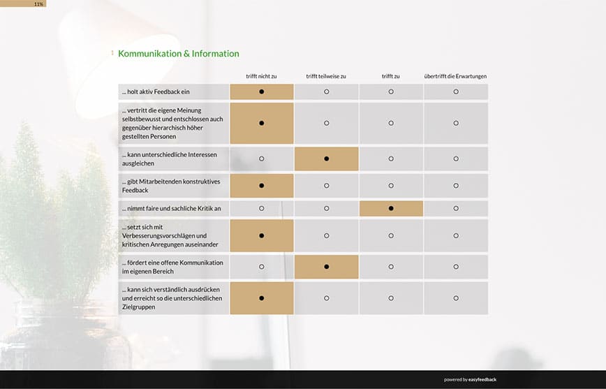Vorschaubild eines 360-Grad-Feedback mit easyfeedback