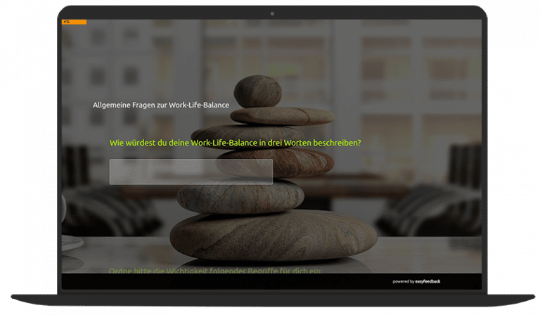 Umfrage Vorlage Work Life Balance