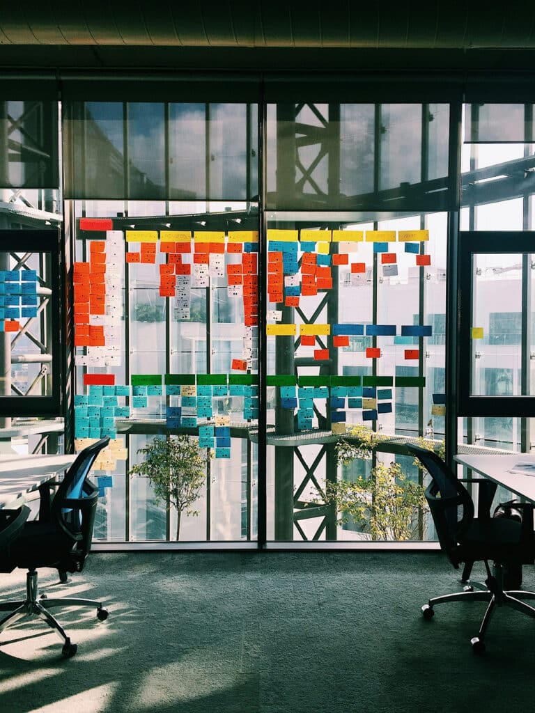 How is the employee experience management process structured