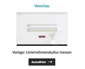 Vorlage Unternehmenskultur Discord und easyfeedback
