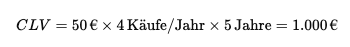 Customer Lifetime Value berechnen beispiel