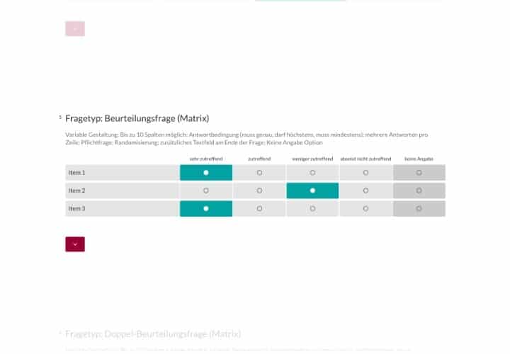 Fragetyp Beurteilungsmatrix