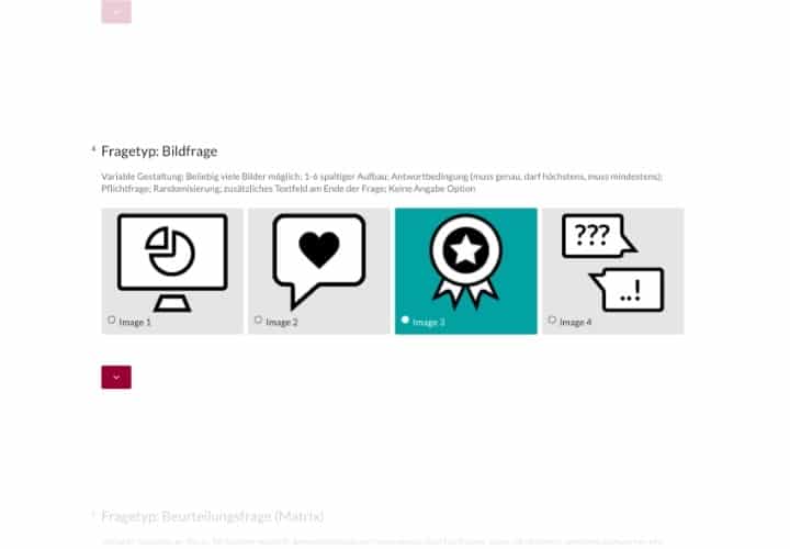 Fragetyp Bildfrage