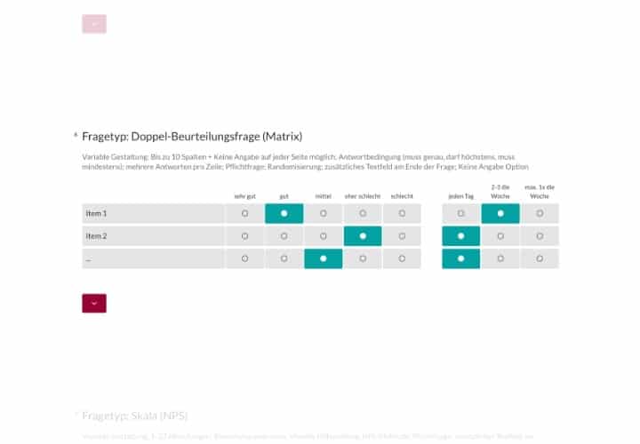 Fragetyp Doppel-Beurteilungsmatrix