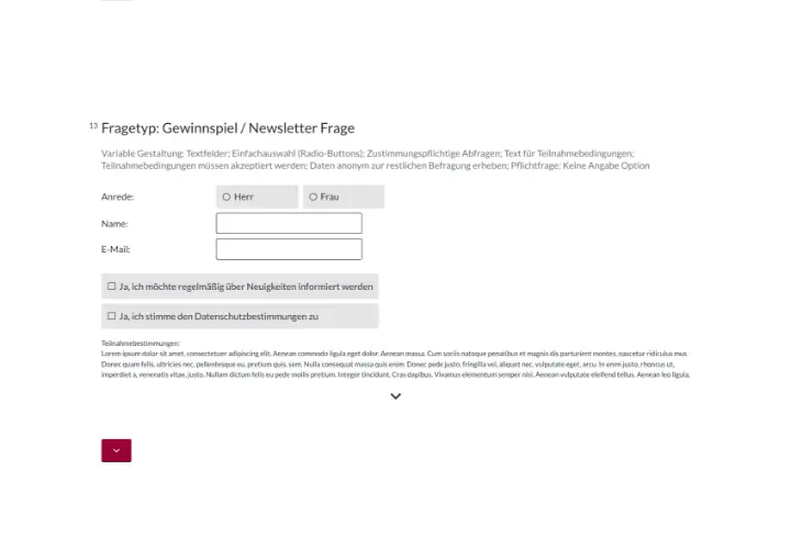 Fragetyp Gewinnspielspiel und Newsletterfrage