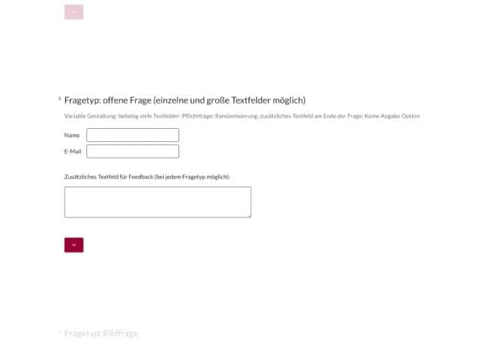 Fragetyp Offene Frage