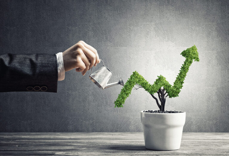 Die 4 Phasen des Unternehmenswachstums