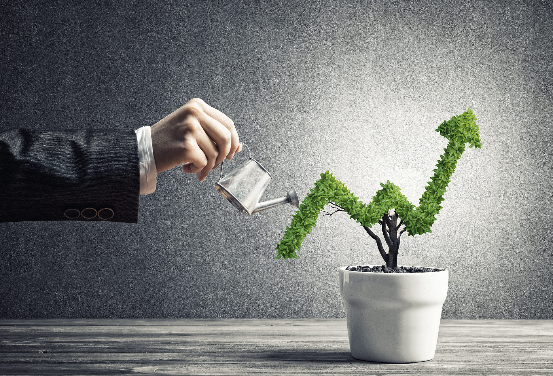 Die 4 Phasen des Unternehmenswachstums