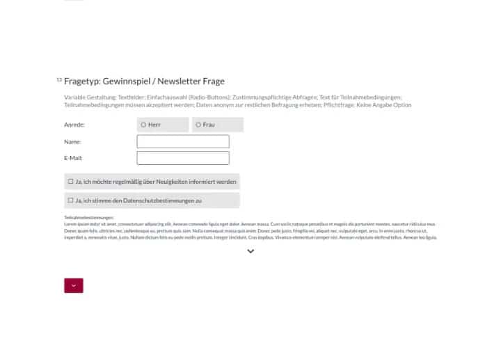 Fragetyp Gewinnspiel und Newsletterfrage