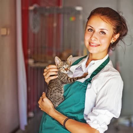 Das moderne Spendenformular für Ihre Webseite